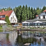 Biergarten am Waldteich